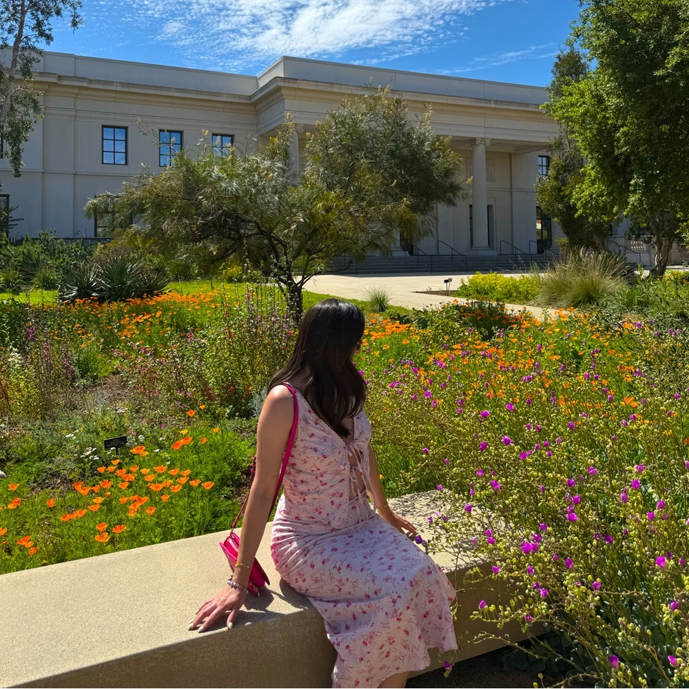 Meet your Posher, Stargirl ✨